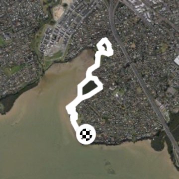 Conifer grove north coast walk