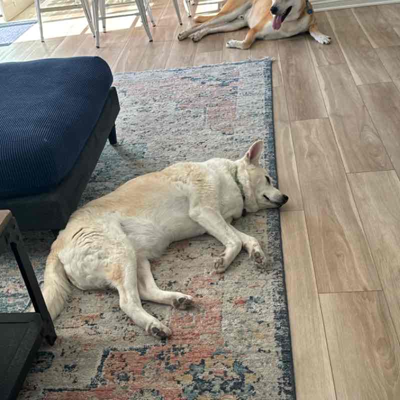 Henry and Clara Fri PM Aug 2