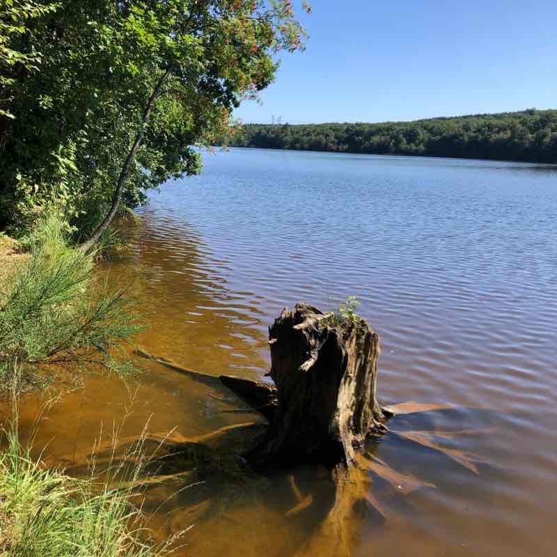 Tour du lac des vieilles forges