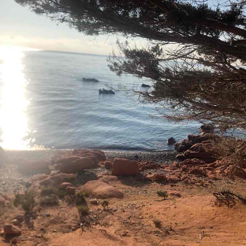 COCCORROCCI - ogliastra