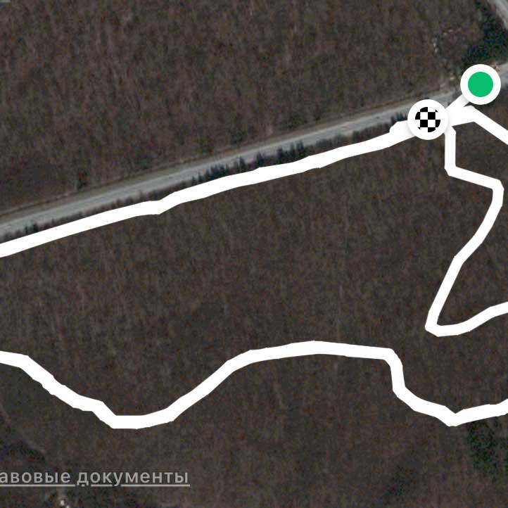 Тропа кабанов