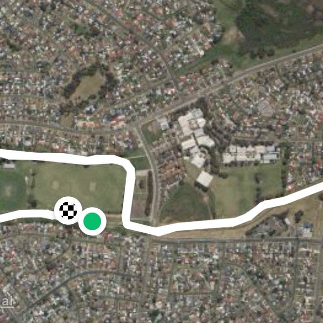 Campbelltown park run