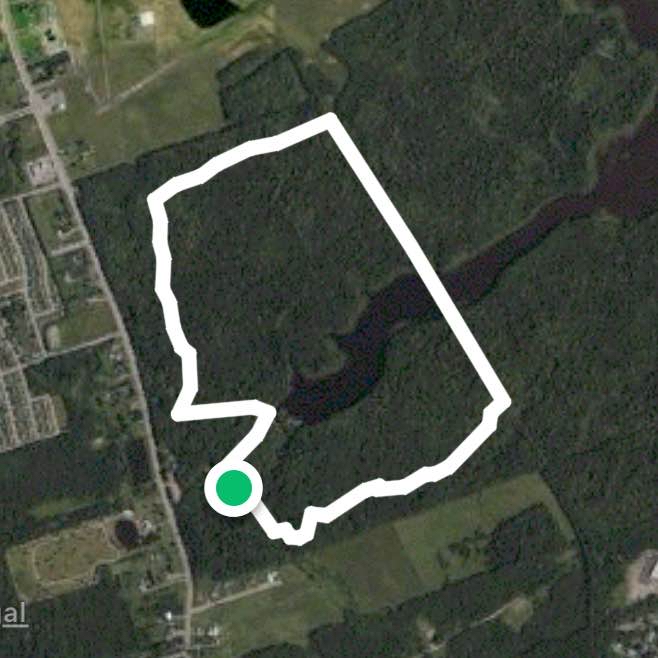 Irishtown Nature Park