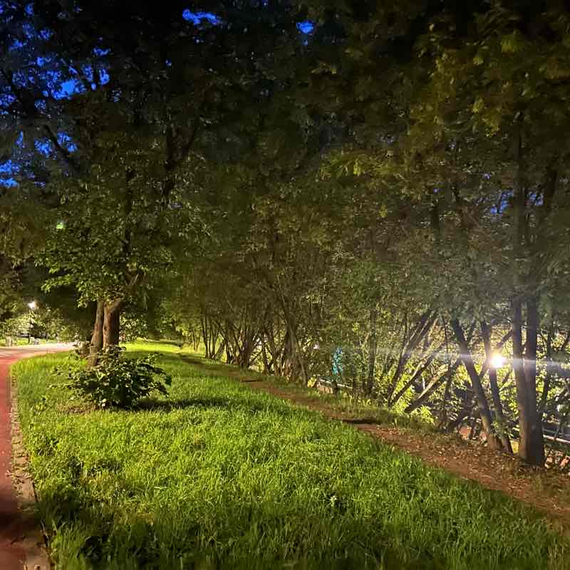 Маршрут вокруг пруда//Route around the pond