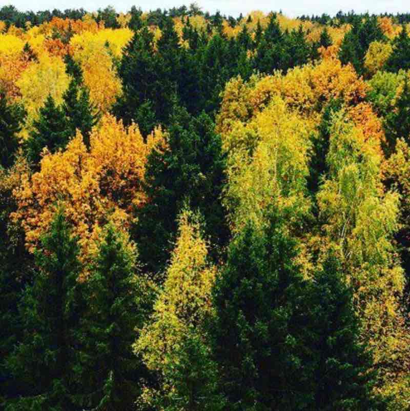 Лобненский парк Южный