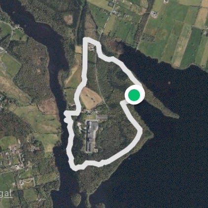 Hazel wood walk Co.Sligo