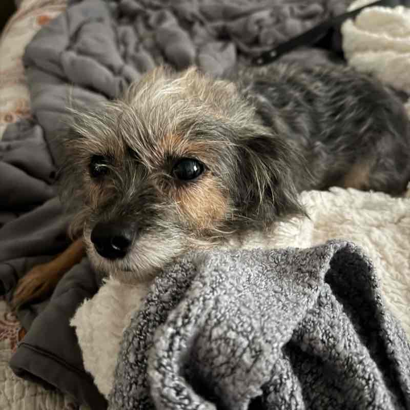 Harlem Fri Sep 27 AM