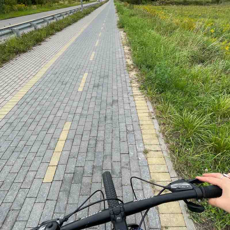 Зеленоградск велодорожка