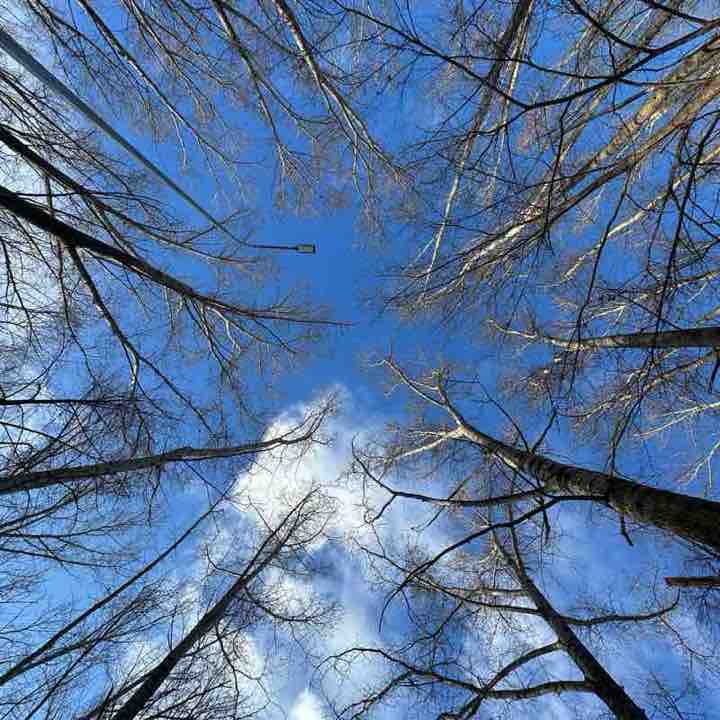 Тропа здоровья