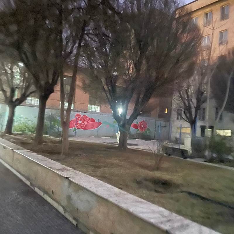 پارک پرستار