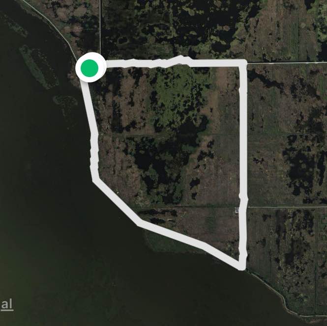 Lake Apopka Wildlife Loop Trail