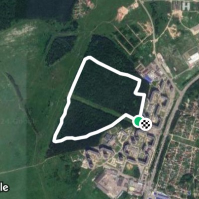 Губернский лес