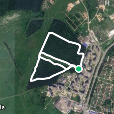 г. Чехов, Губернский лес