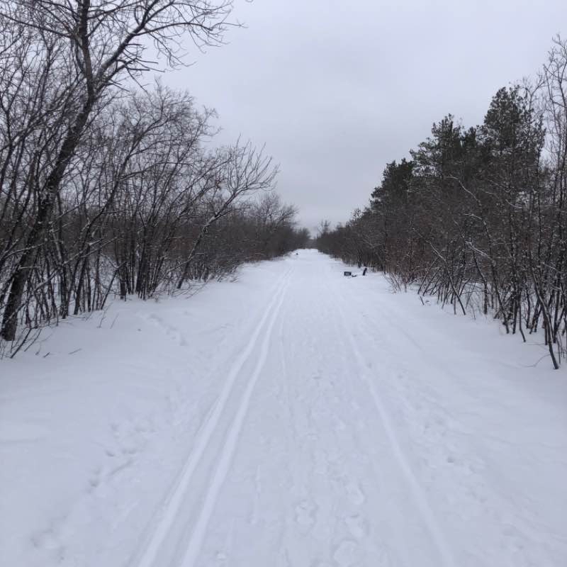 Парк березка