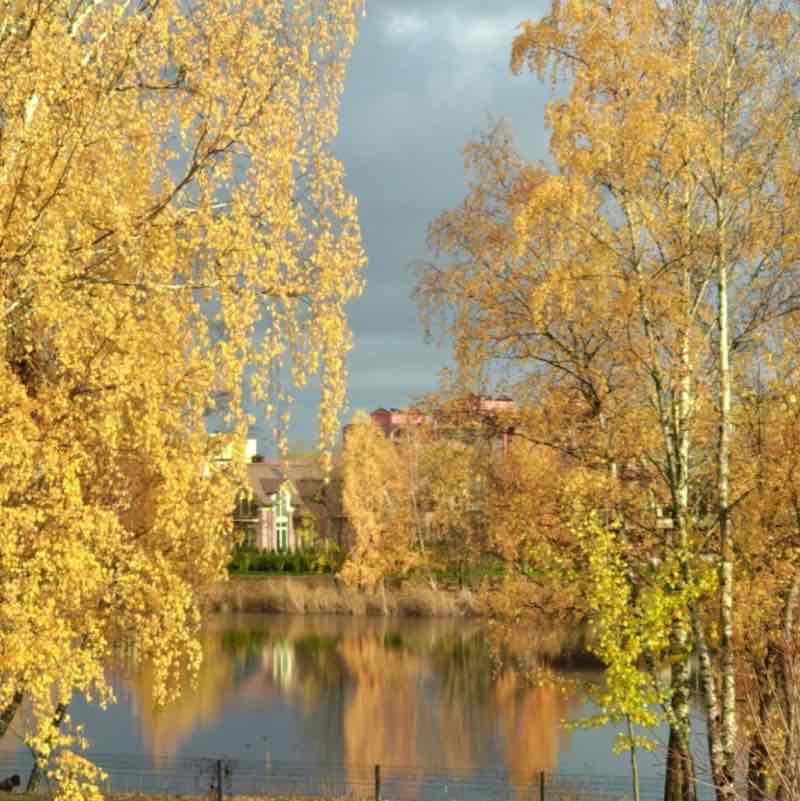 Старый Петергоф