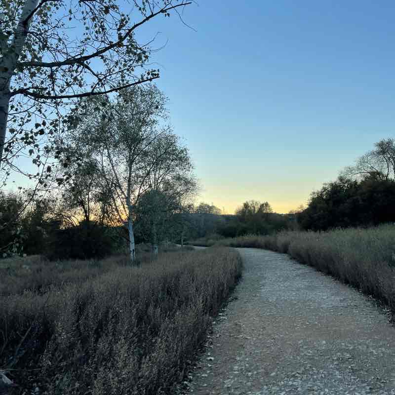 Los Chopos, San Fernando de Henares