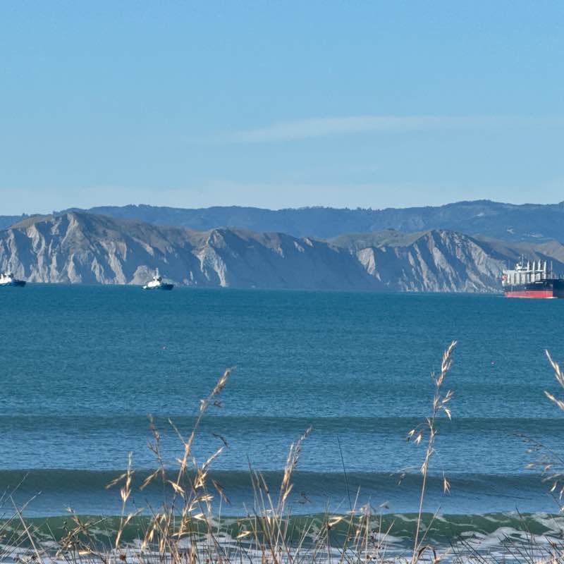 Gisborne beach walkway.