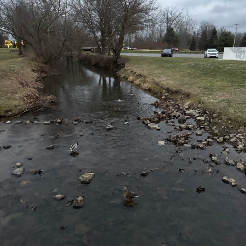 A Brook at Brooks Park