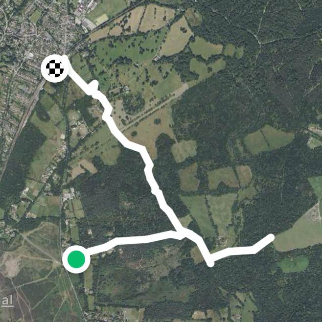 The Filley Pub to Brockenhurst