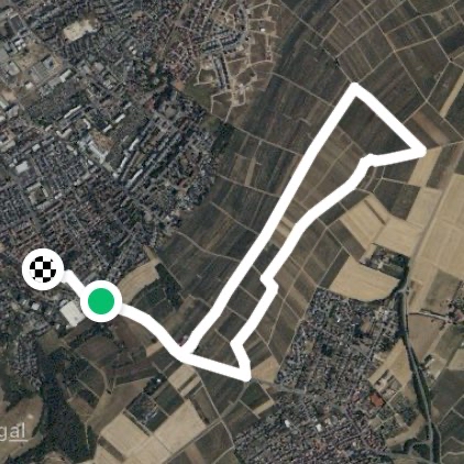 Bad Kreuznach Vineyard Walk 1