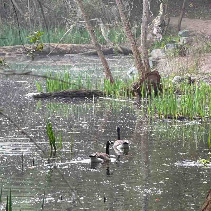 ELDORADO NATURE TRAIL