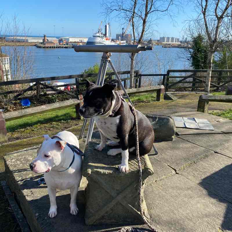 Sunderland sea front