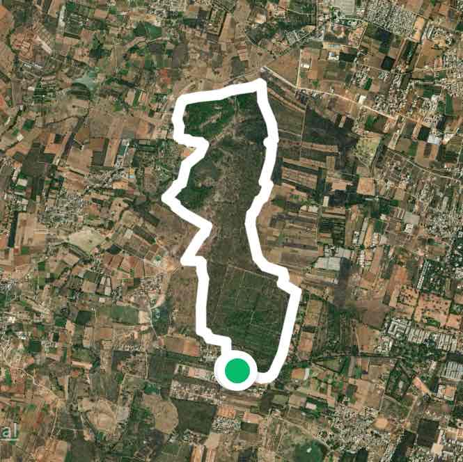 Jarakabande Oxgen Park