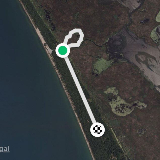 Point Pelee: Marsh Boardwalk