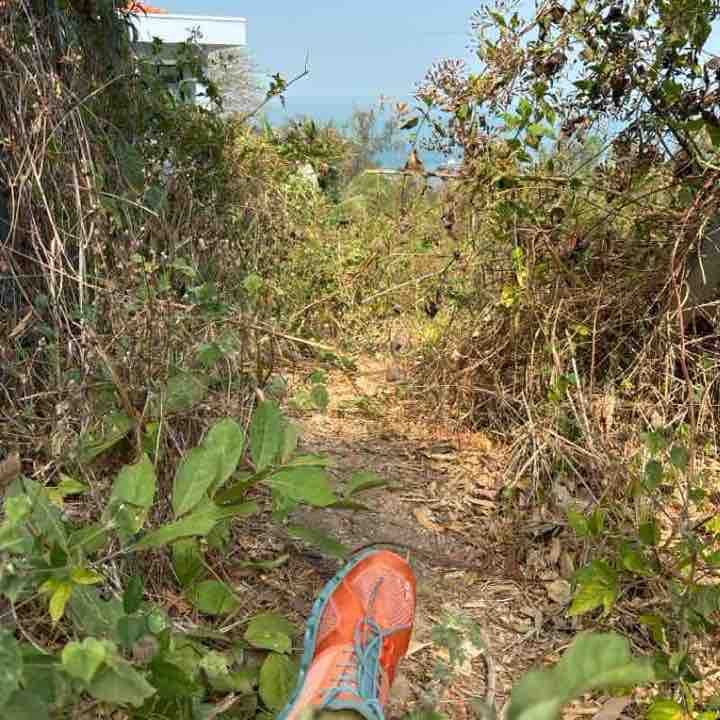 Прогулка в гору