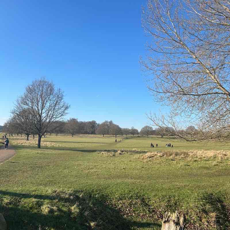 Richmond Park