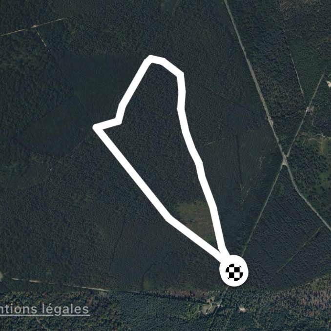 3,5 km en forêt d’Ermenonville