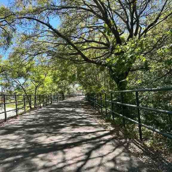 Seminole Wekiva Trail (Santiago’s Bodega entry)