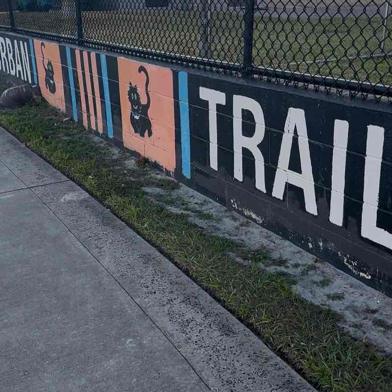 Orlando Urban Trail (Mennello Museum entry)