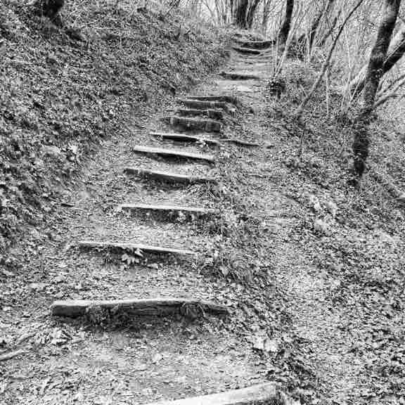 Petit-Lancy - Bernex