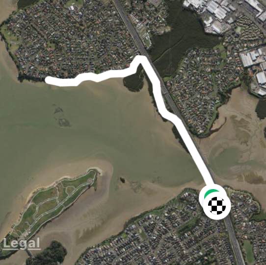 Conifer grove bridge walk