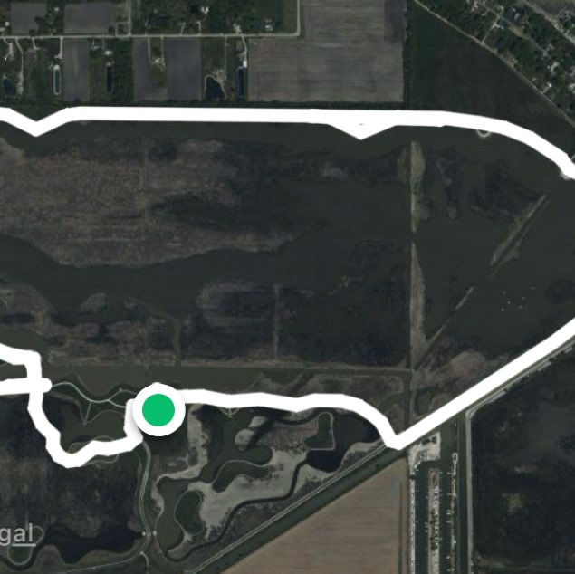 Howard Marsh Egret Trail