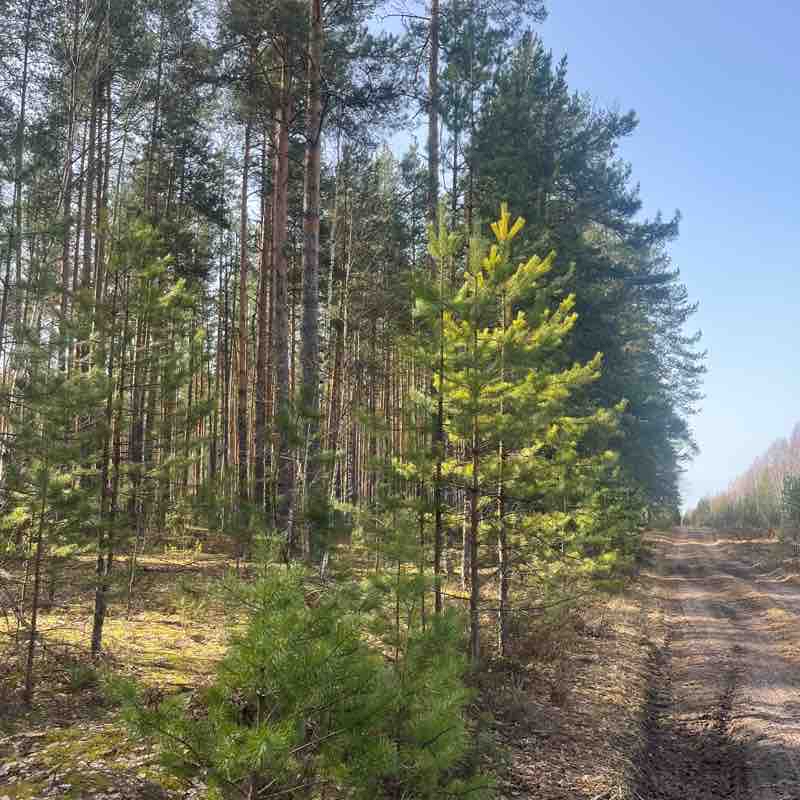 Озеро Святое