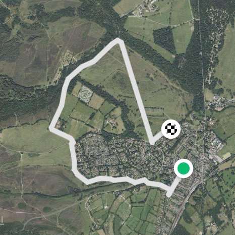 Accidental 1hr 30mins+ walk in the New Forest 🌳😅