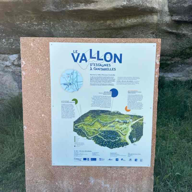 Vallon  d’escaunes à cantarelles