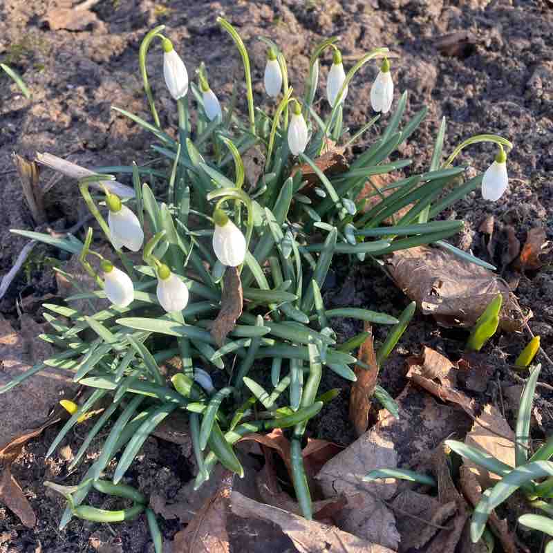 Парк Василеостровец