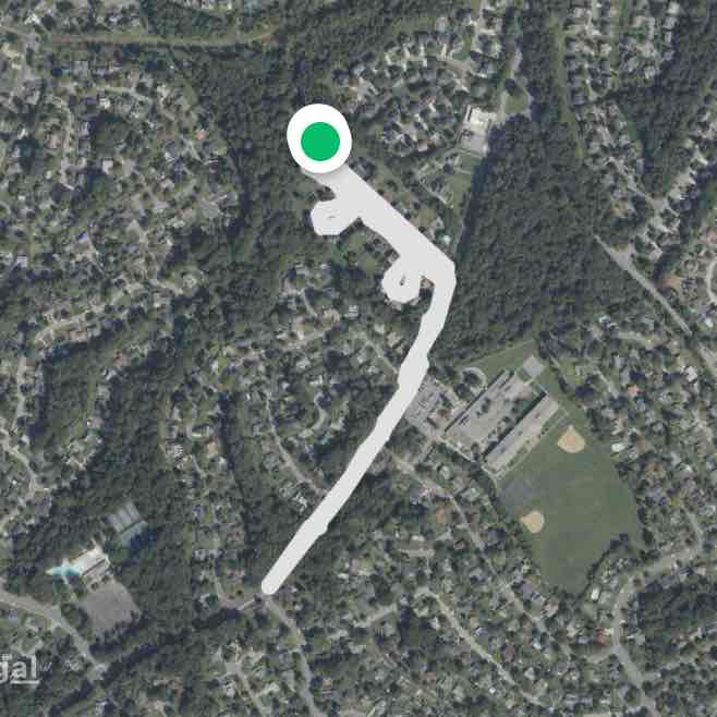 Daily 1.5 walk