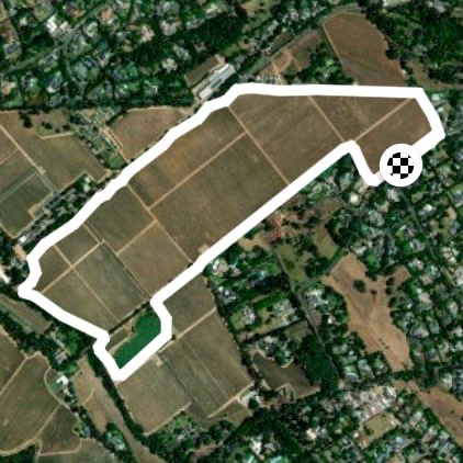 Groot Constantia wine farm