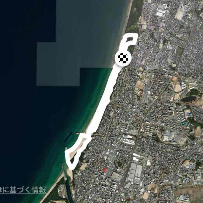 古賀花見海岸の松林