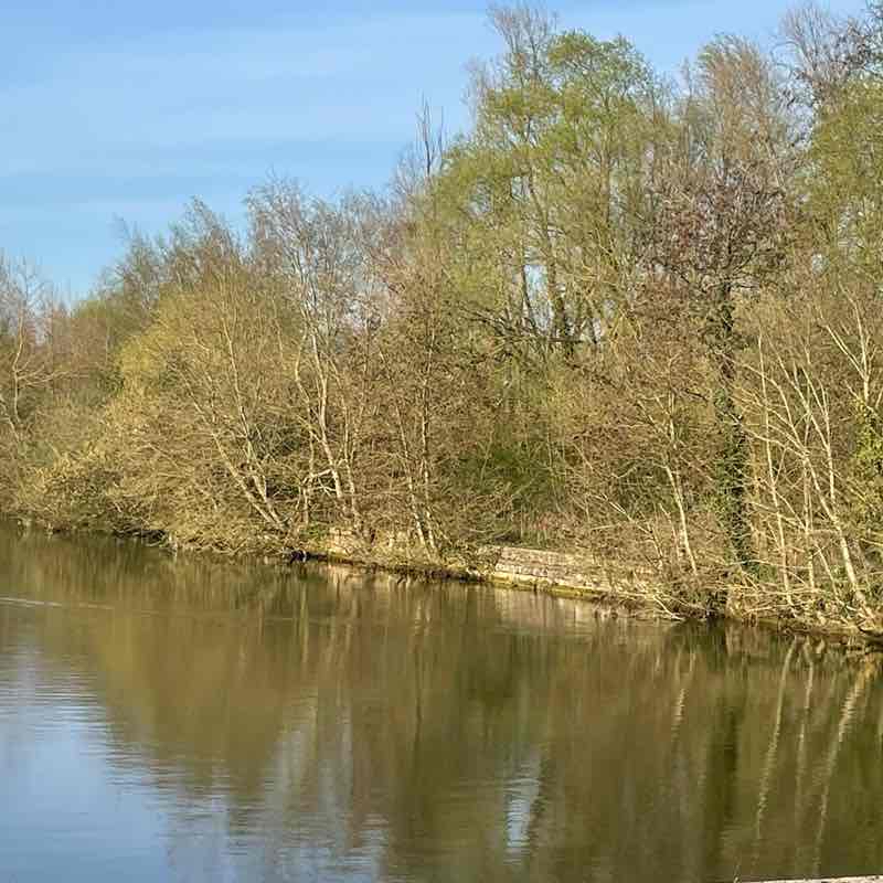 Le long de la Scarpe