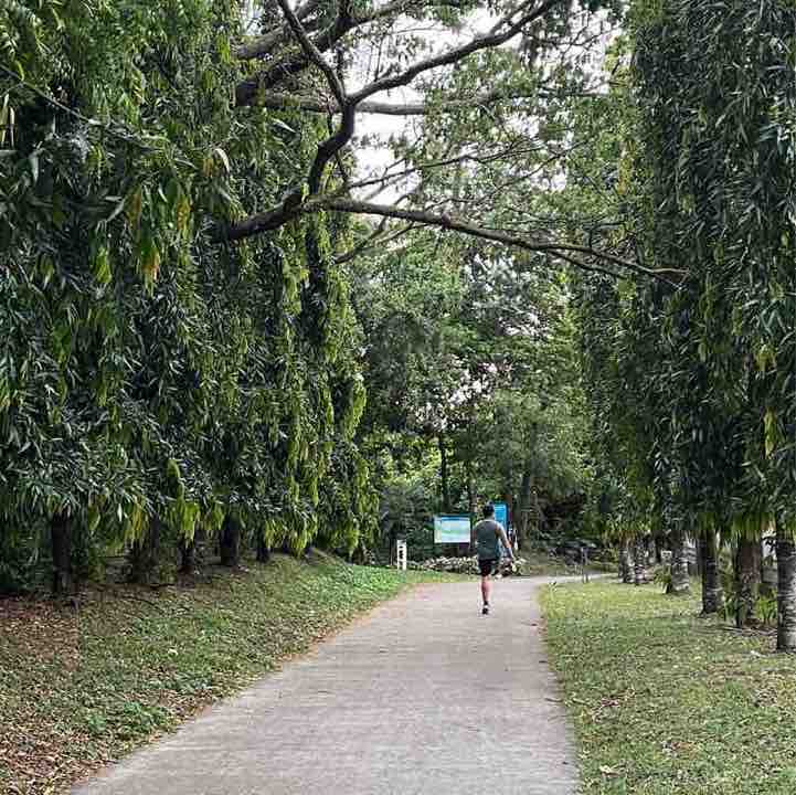 Consuelo Park Walking Route