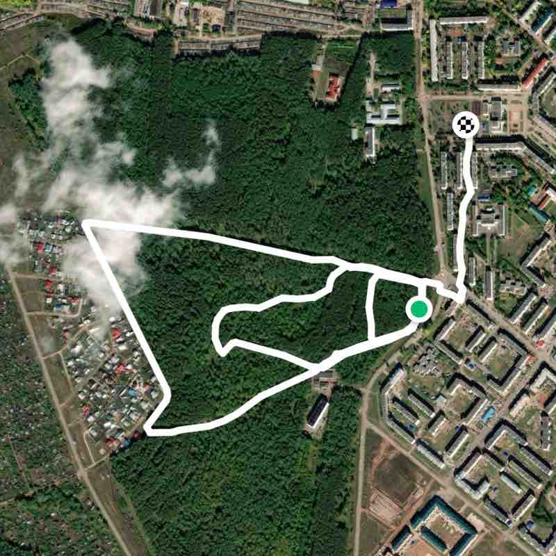 Тропа здоровья