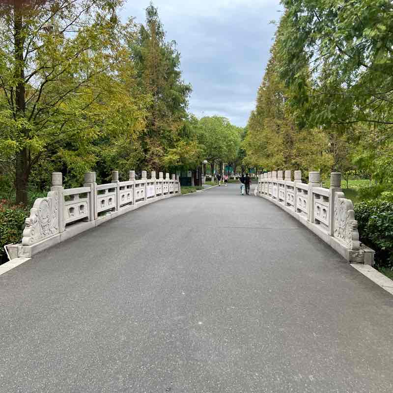 South Taicang Saturday