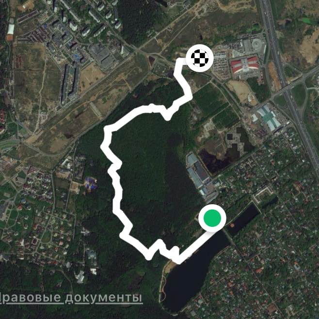 Прогулка с собачкой