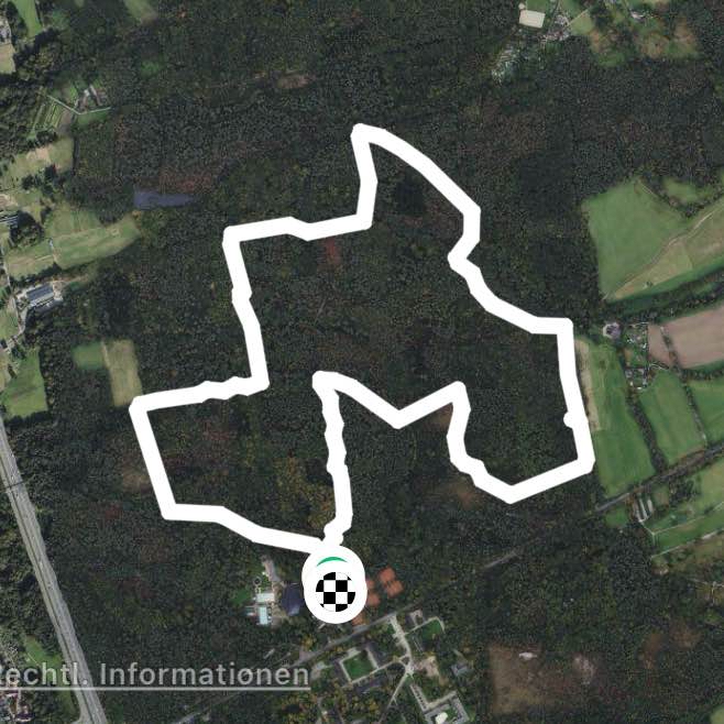 Kaninchen Runde Hildener Stadtwald