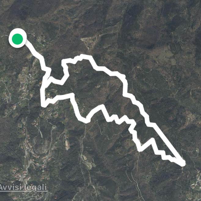 Anello Castagnabuona